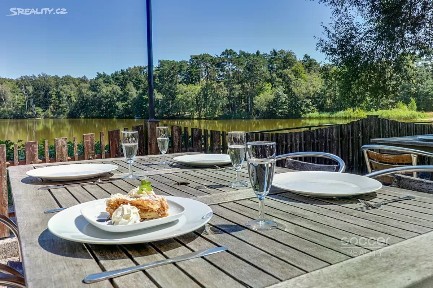 Prodej ubytovacího zařízení 1150 m² Jivák, Loučeň - Patřín