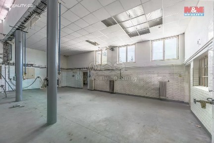 Prodej výrobní haly, prostoru 1350 m² K Labi, Kostelec nad Labem - Jiřice