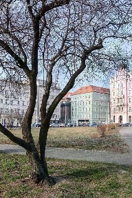 Pronájem restaurace 224 m² Petrská, Praha - Nové Město