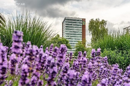 Pronájem kanceláře 256 m² Bucharova, Praha - Stodůlky