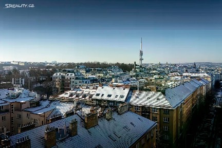 Prodej obchodního prostoru 161 m² Žerotínova, Praha - Žižkov