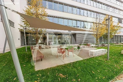 Pronájem kanceláře 570 m² Moulíkova, Praha - Smíchov