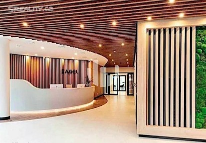 Pronájem kanceláře 757 m² Vrchlického, Praha - Košíře