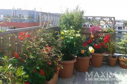 Prodej bytu 4+kk 113 m² Pečárková, Praha - Pitkovice