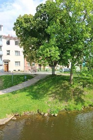 Prodej rodinného domu 225 m², pozemek 125 m² Na Nábřeží, České Budějovice - České Budějovice 6