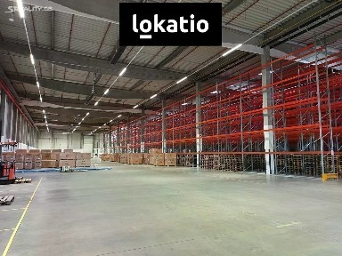 Pronájem skladového prostoru 6776 m² Štěnovice