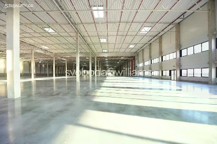 Pronájem výrobní haly, prostoru 31600 m² Přehýšov