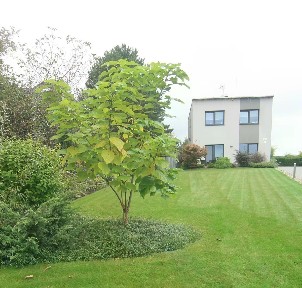 Prodej rodinného domu 130 m², pozemek 1724 m² U Farmy, Karviná - Ráj