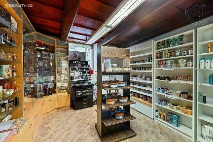 Prodej obchodního prostoru 330 m² Horní Česká, Znojmo