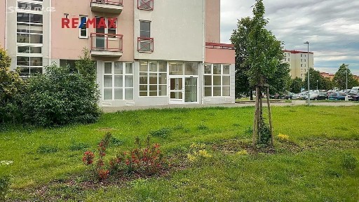 Prodej obchodního prostoru 260 m² Kotlanova, Brno - Líšeň