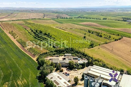 Prodej výrobní haly, prostoru 1837 m² Šardice