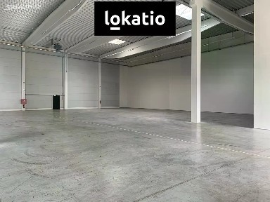 Pronájem skladového prostoru 6662 m² Průmyslový park, Cheb - Hradiště