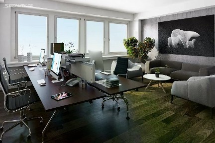 Pronájem kanceláře 17 m² Veverkova, Hradec Králové - Pražské Předměstí