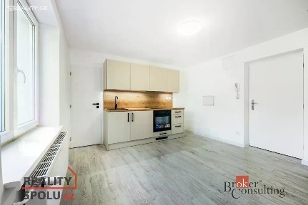 Pronájem bytu 1+1 45 m² Křižíkova, Frýdek-Místek - Frýdek