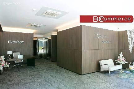 Brno, Brno-město, Staré Brno