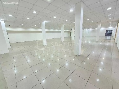 Brno, Brno-město, Staré Brno, Václavská, 6