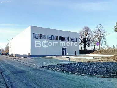 Holubice