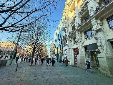 Pronájem kanceláře 580 m² náměstí Svobody, Brno - Brno-město