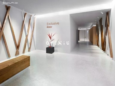 Brno, Brno-město, Staré Brno, Nové sady, 25