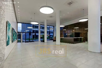 Brno, Brno-město, Staré Brno, Nové sady