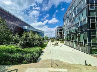 Pronájem kanceláře 750 m² Palachovo náměstí, Brno - Starý Lískovec