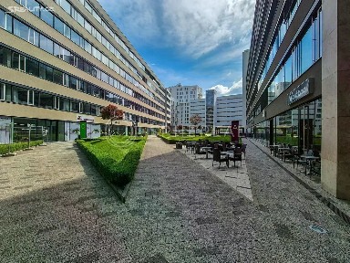 Brno, Brno-město, Staré Brno, Nové sady