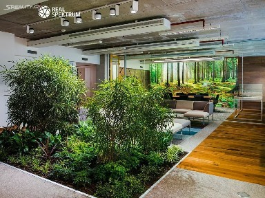 Pronájem kanceláře 82 m² Tuřanka, Brno - Slatina