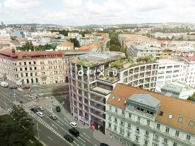 Pronájem obchodního prostoru 300 m² Milady Horákové, Brno - Zábrdovice
