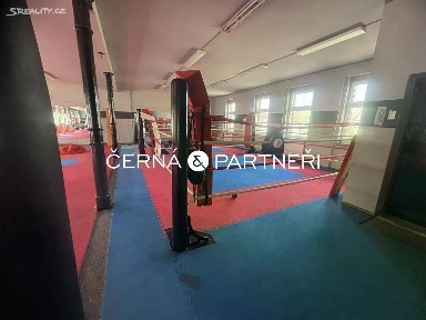 Pronájem komerční nemovitosti 280 m² Štúrova, Teplice - Trnovany