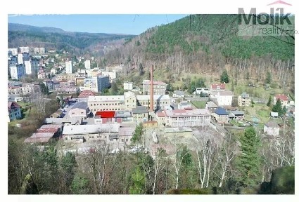 Pronájem skladového prostoru 150 m² Teplická, Děčín - Děčín IX-Bynov