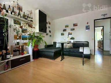 Prodej bytu 3+1 59 m² Severní, Hradec Králové - Slezské Předměstí