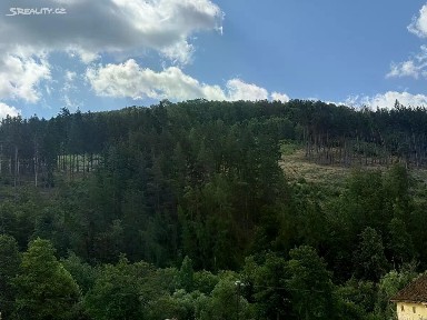 Prodej bytu 2+1 55 m² Nádražní, Žlutice