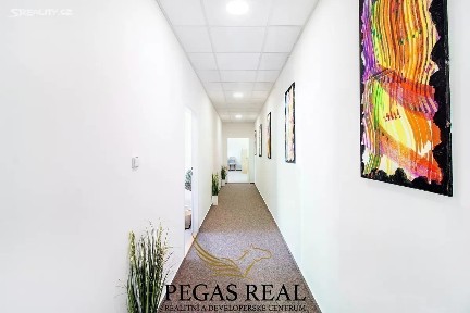 Brno, Brno-město, Rašínova