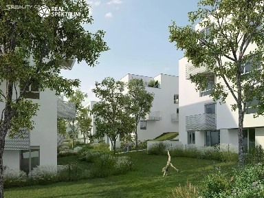 Tišnov, Brno-venkov, Brněnská