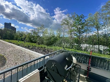 Praha, Praha 9, Vysočany, Pod Harfou