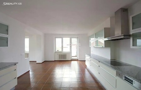 Pronájem bytu 6 pokojů a více 290 m² Psohlavců, Praha - Braník