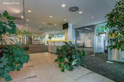 Pronájem obchodního prostoru 600 m² Hartigova, Praha - Žižkov