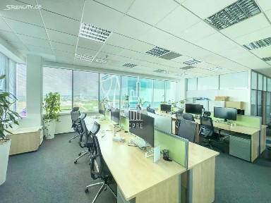 Pronájem kanceláře 515 m² Türkova, Praha - Chodov