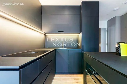 Pronájem bytu 2+kk 67 m² V podhájí, Praha - Braník