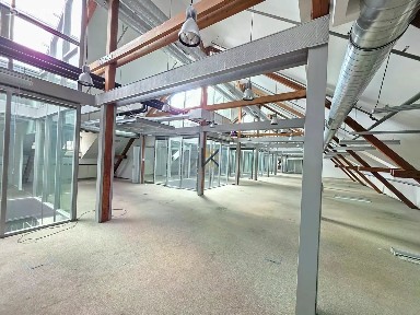 Pronájem kanceláře 1400 m² U Průhonu, Praha - Holešovice