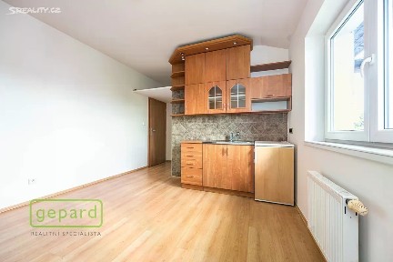 Prodej bytu 1+kk 17 m² Revoluční, Šestajovice