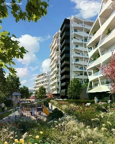 Brno, Brno-město, Komárov, Komárovská