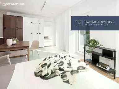 Pronájem bytu 1+kk 27 m² Francouzská, Brno - Zábrdovice