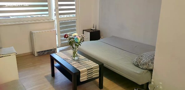 Pronájem bytu 1+kk 30 m² Petra Jilemnického, Teplice