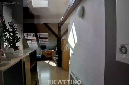 Pronájem bytu 2+kk 53 m² Ptašínského, Brno - Ponava