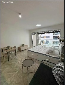 Pronájem bytu 1+kk 33 m² Cejl, Brno - Zábrdovice