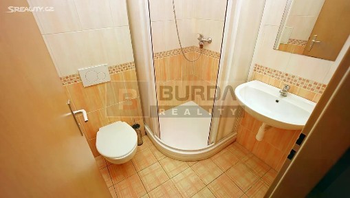 Pronájem bytu 1+kk 19 m² Neratovice