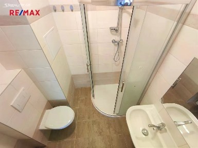 Prodej bytu 1+kk 32 m² Slepá, Milovice - Mladá