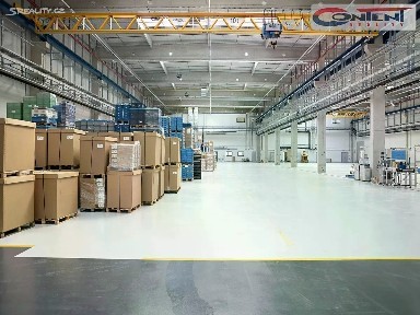 Pronájem výrobní haly, prostoru 22455 m²
