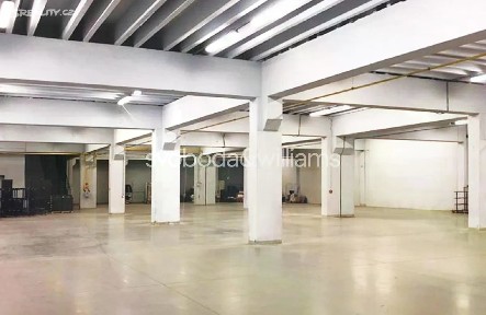 Pronájem výrobní haly, prostoru 22000 m² Technická, Říčany